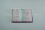 Аттестат 9 классов 2014-2026